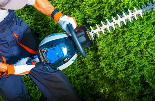 garten-eigener-pflege-gartenmoebel-einrichten-wohnen-04 Heckenschere